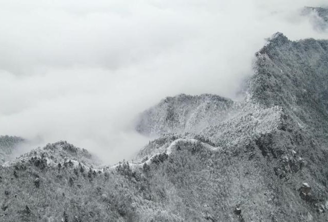 萬佛山冬韻
